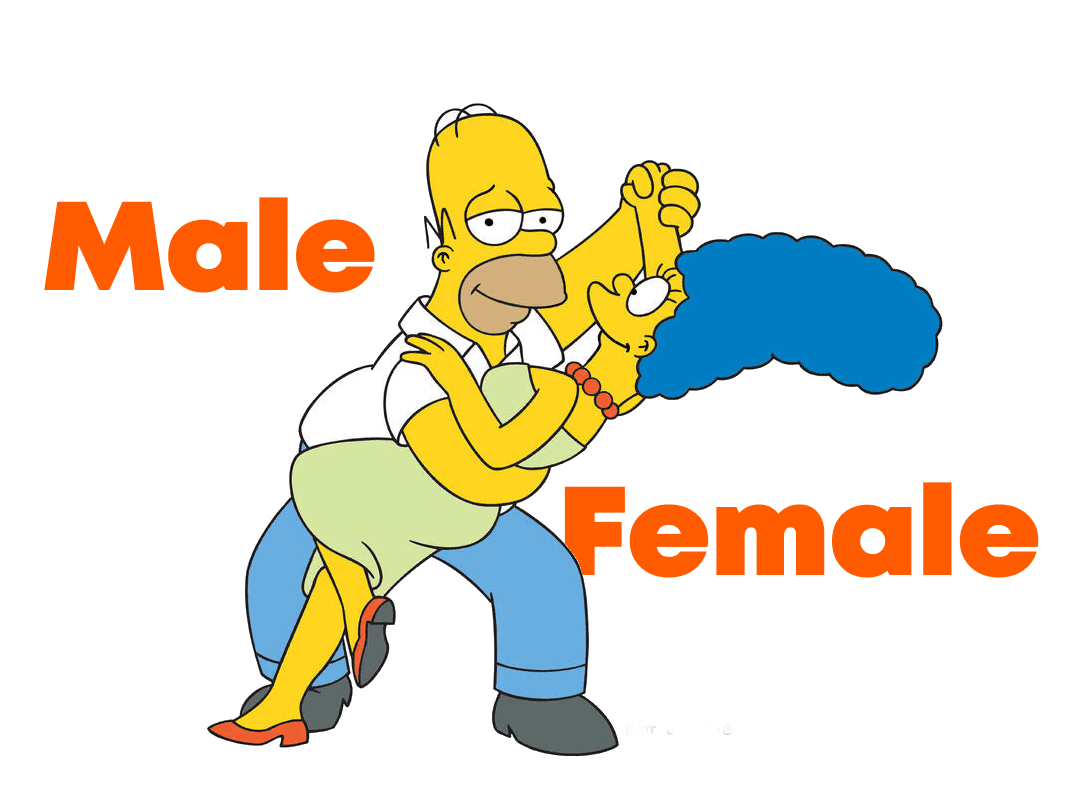 В чем разница между английскими словами Female и feminine; male и masculine?