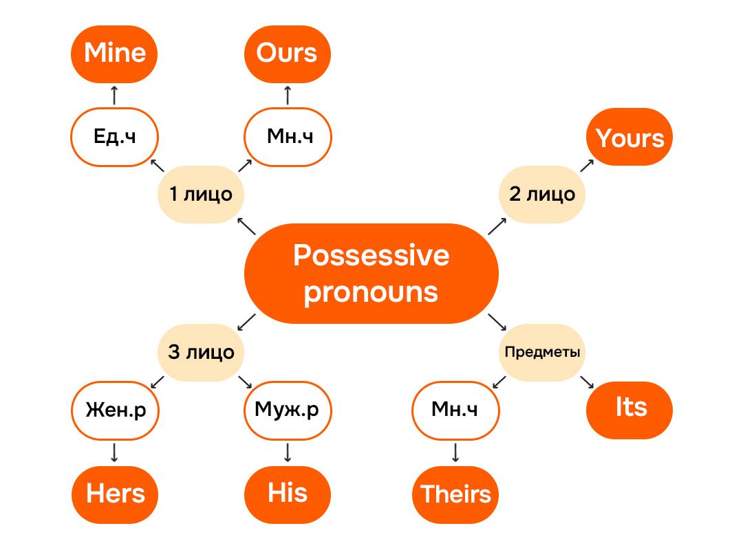 Possessive pronouns схема