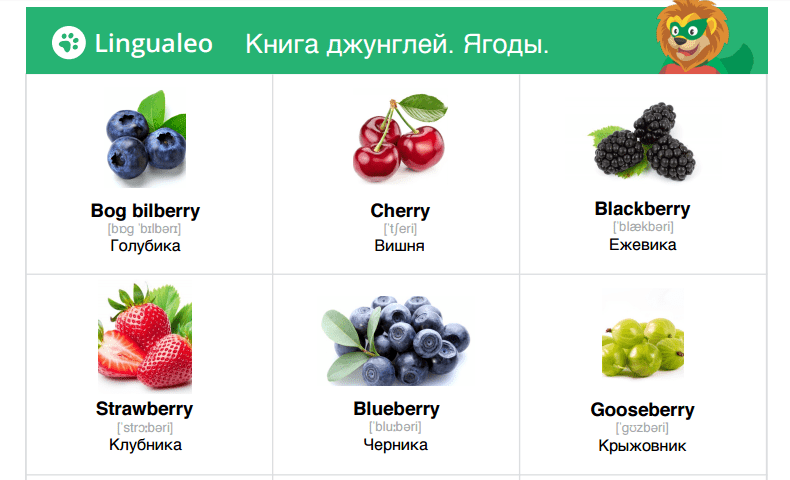 berries-1