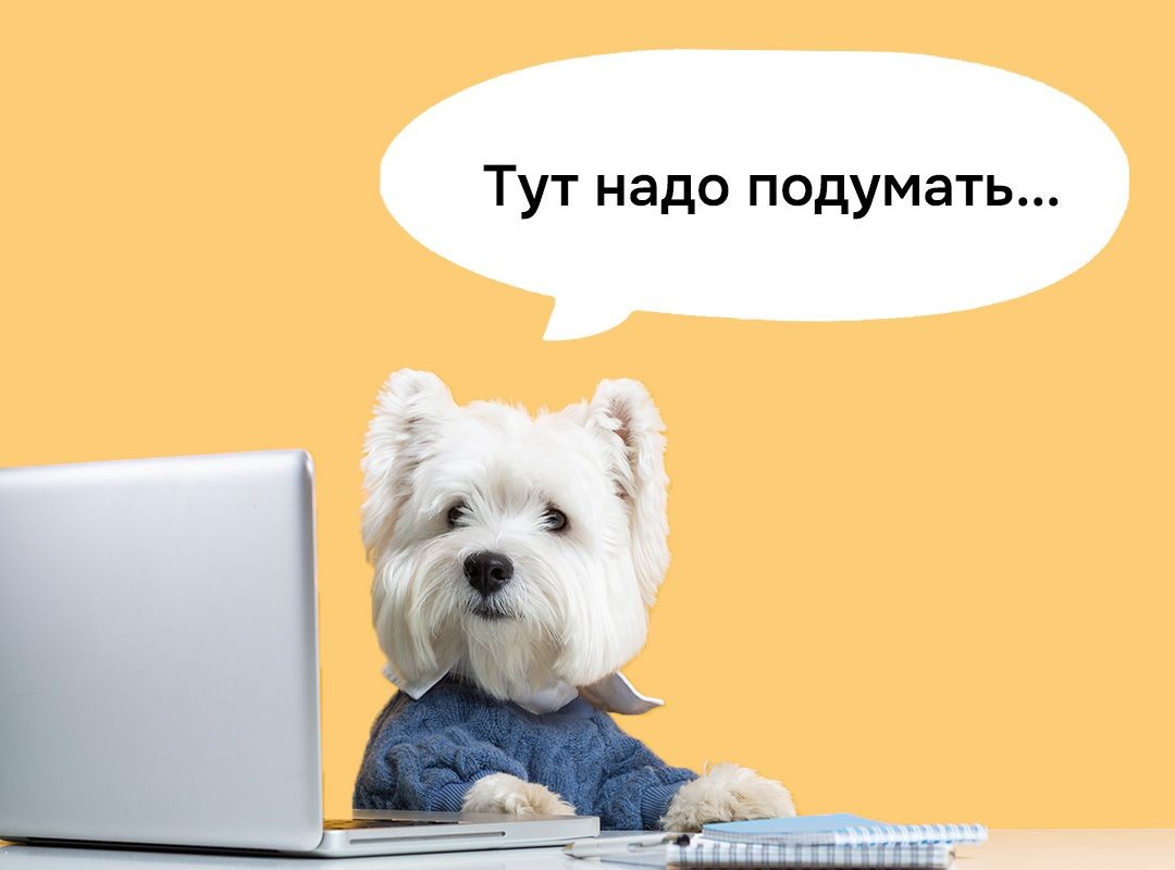 Мем с собачкой