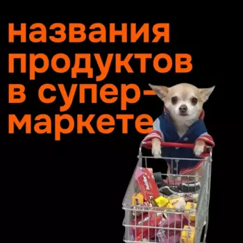 Тест: а вы смогли бы купить продукты в Англии?