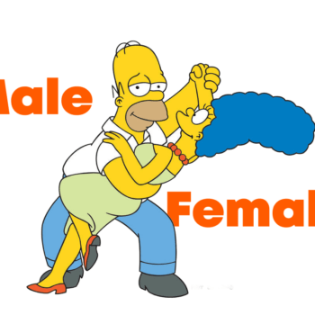 В чем разница между английскими словами Female и feminine; male и masculine?