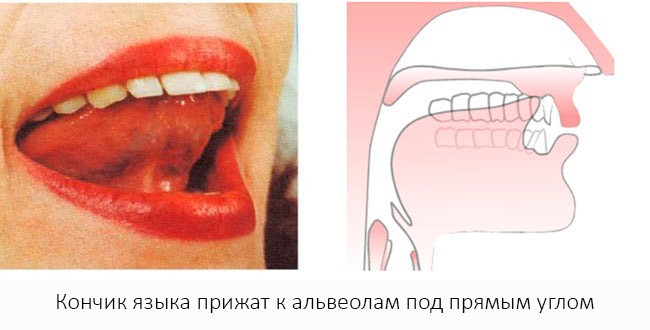 язык и зубы