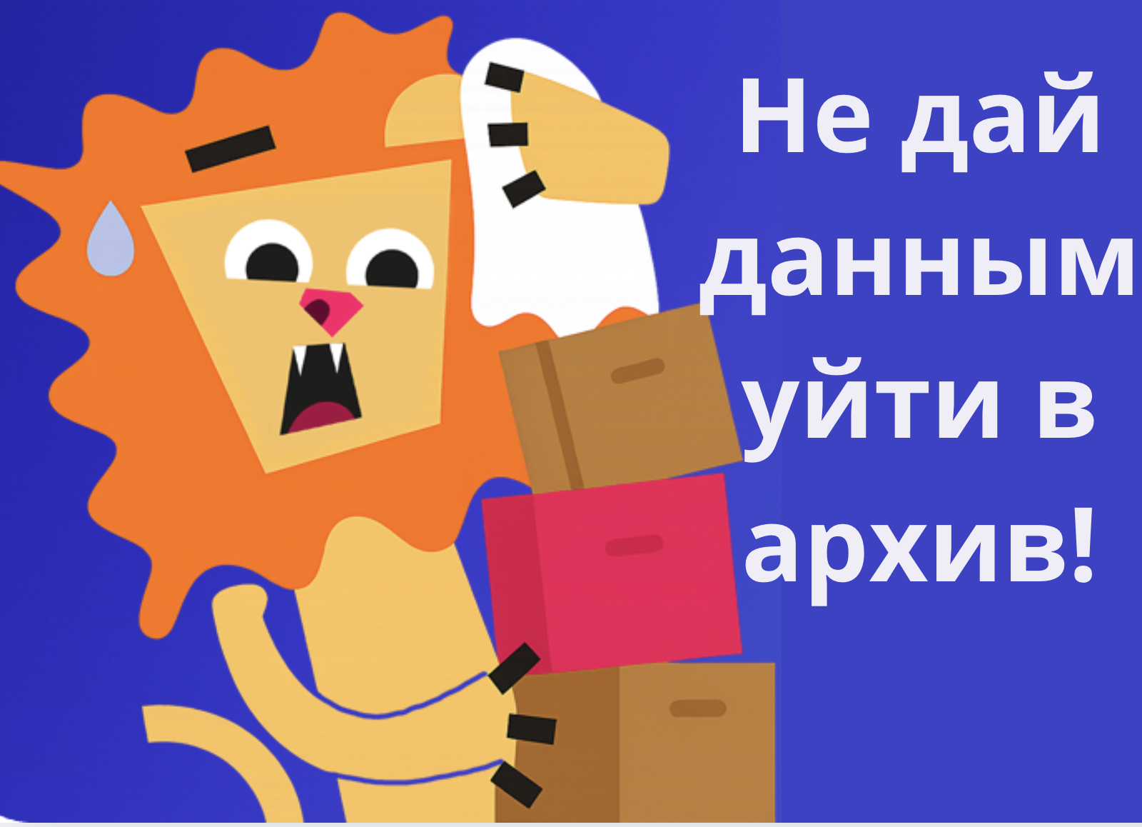 Чистка архивов → что будет с вашим аккаунтом.